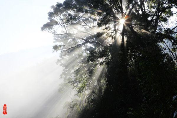 半场战报|山东男篮45:55山西,陶汉林12分、何思雨9分