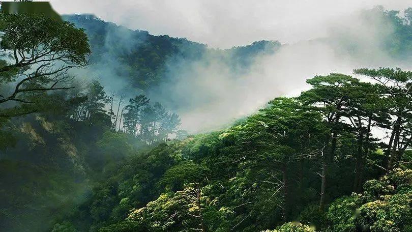 跳绳能瘦哪些部位？跳绳减肥有哪些注意事项？