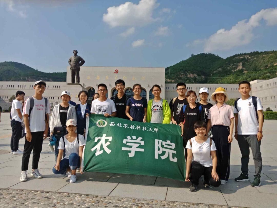 记者：三场比赛一球没进，但凡多带个前锋还多一点进球机会